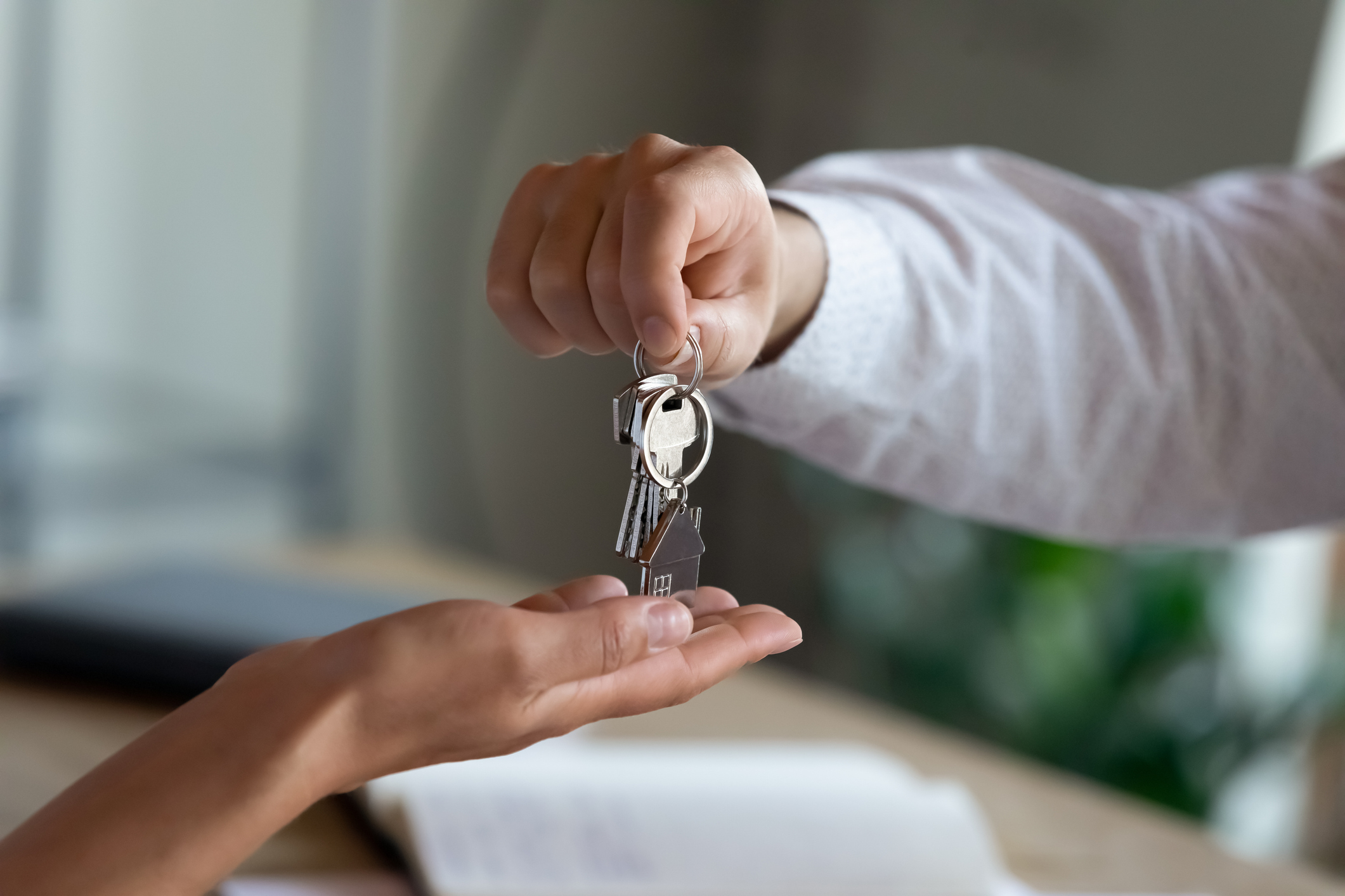 dgl inmobiliaria